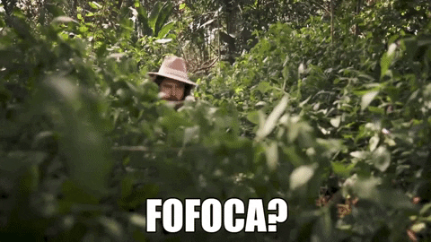 fofoca